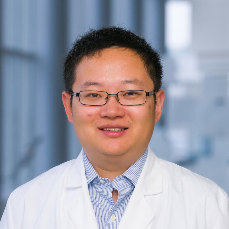 Dr. You Zhang